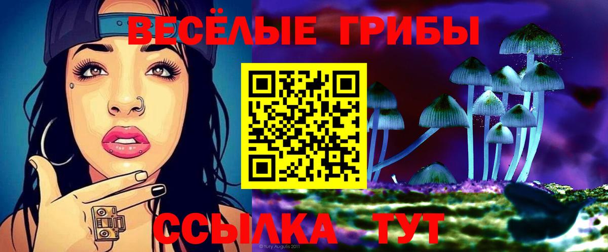 Керчь  Alpha-PVP СК кристаллы  Купить наркотик  МЕФ кристаллы  Вход с VPN  Конопля  ГАШ 
